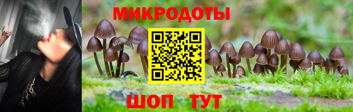 Галлюциногенные грибы мицелий  Вход с VPN  купить  сайты  Сибай 